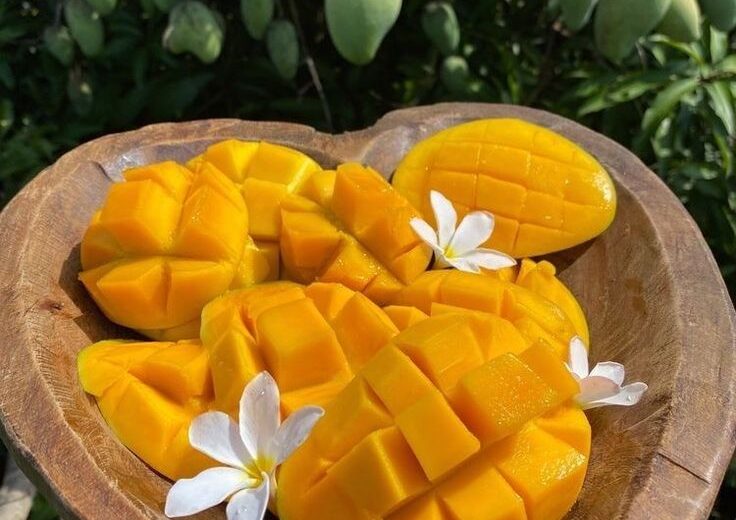 mango