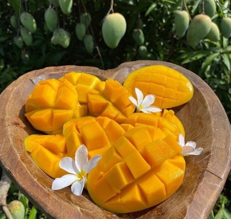 mango